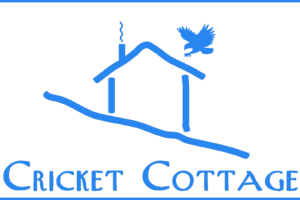 cricket logo horizontal